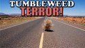 Tumbleweed Terror
