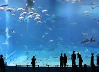 L'aquarium de Kuroshio 