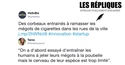 Le corbeau et l'humain 