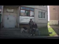 German Shepherd and a drunk owner