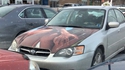 Voiture beauf 