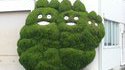 Buisson souriant