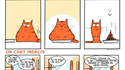 Cornelius le chat