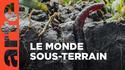 Insolite sur le net, indispensable sous terre. 
