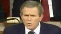 Bush Beat Box