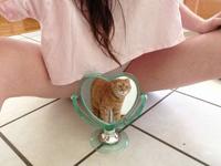 Belle chatte rousse