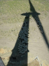 À l'ombre d'une éolienne
