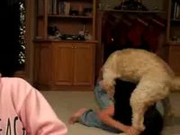Cadeau du chien