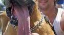 Longue langue de chien