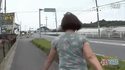 Promener le chien