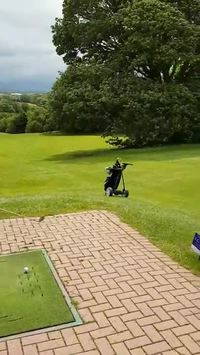 Les golfeurs