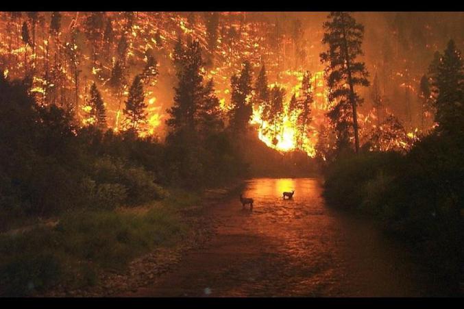 Un incendie monstre dans le parc de Fragas Do Eume (un des plusbeaux d'Europe, protégé pour sa richesse écologique), a ravagé plus de 750 Ha en moins de deux jours.