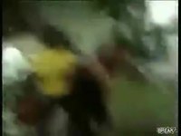 Dangers de la route