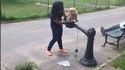 Fontaine à eau publique ou bidet pour chien
