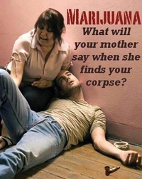 Campagne anti-cannabis