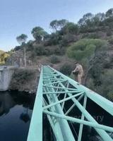 Parkour pour coccyx