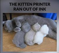 quand le duplicateur de chat est à court d'encre !