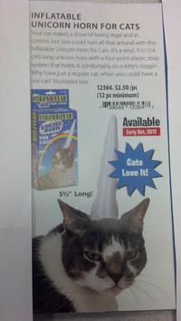 Transformer son chat en licorne