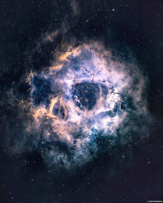 Aussi connue comme Caldwell 49, c'est une vaste région d'hydrogène ionisé située à quelque 4700 années-lumière3 du système solaire en direction de la constellation de la Licorne. Elle a été découverte par l'astronome américain Lewis Swift en 1865.

Photo par Curtis Morgan.
