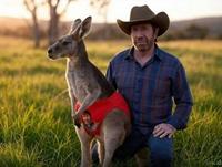 Chuck Norris ne porte pas de slip kangourou, ce sont les kangourous qui portent les slips Chuck Norris