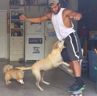 Plus petit que des balles de tennis mais on fera avec