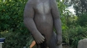 Pedobear a bien grandi 