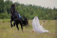 Le cheval divorce déjà