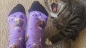 Autoportrait en chaussettes 