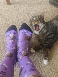 Autoportrait en chaussettes 