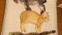 Catris