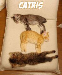 Catris