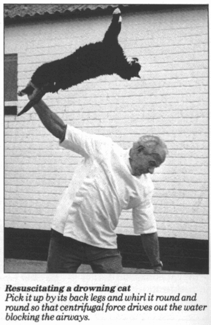 Ressusciter un chat noyé