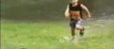 Un chien joue avec un enfant