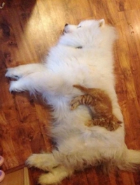 Confortable?