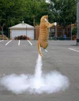 De source sure : aucune intervention de photoshop ou d'IA...