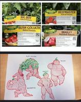 Variétés de tomates
