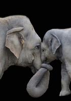 _ Fiston, n'essaie pas de me tromper !