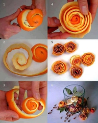Rose orange