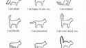 Comprendre le chat