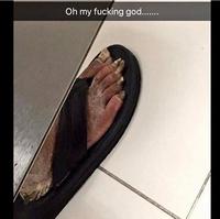 J'ai chié avec Ramsès