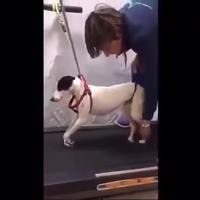 Patience et dévouement 