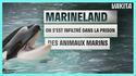 Le Merveilleux Monde de Marineland