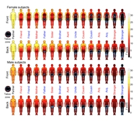 Body map