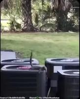 Effet spécial 2 ?