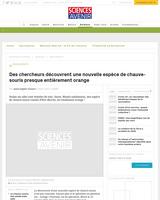 Des chercheurs découvrent une nouvelle espèce de chauve-souris presque entièrement orange