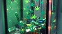Weed Machine