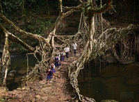 Pont naturel