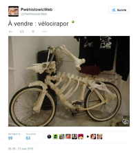 Vélocirapor