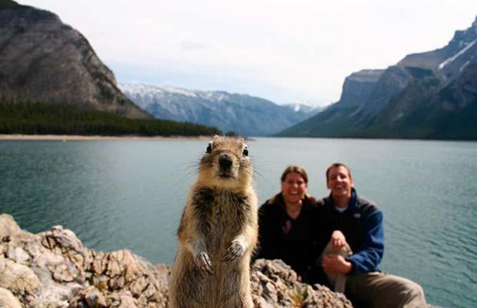 Un écureuil qui gâche une photo de vacances...