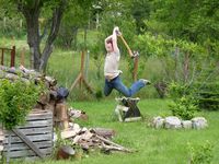 Une manière de couper le bois
